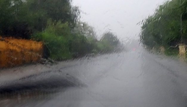Limpador de para-brisa e sua palhetas