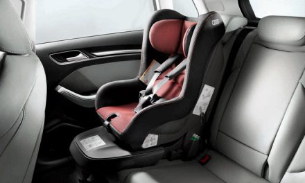<span class="entry-title-primary">Cadeirinha de bebê – Como transportar crianças corretamente em seu carro</span> <span class="entry-subtitle">Transporte correto é exigência da lei</span>
